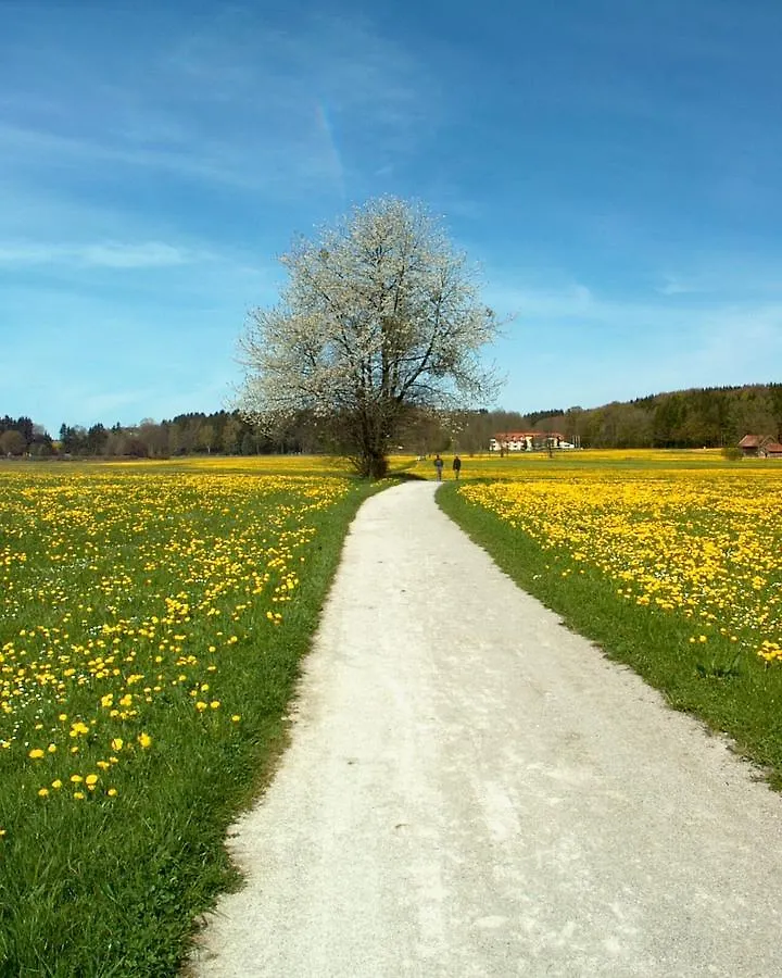 Kneipp-Kurhotel Steinle Bad Wörishofen